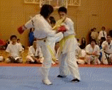 nakagawa2.gif