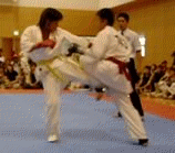 nakagawa3.gif