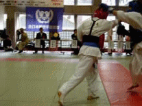 todometuki.gif
